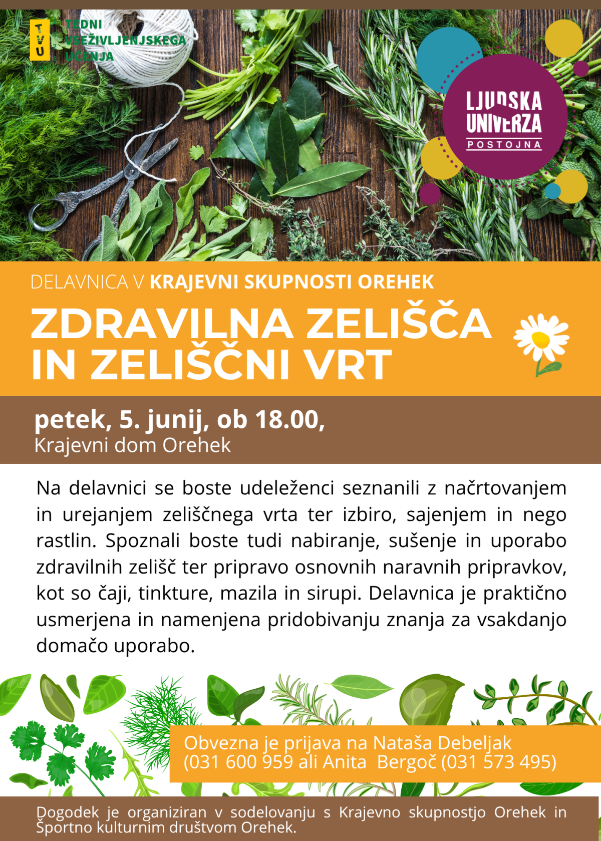 zdravilna zelišča in zeliščni vrt _ orehek
